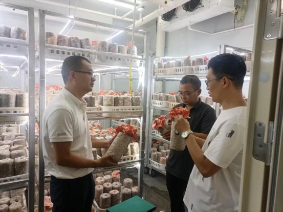 科研活動賦能食用農產品研發 驅動農業現代化與健康飲食新變革