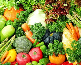 食用農(nóng)產(chǎn)品價(jià)格企穩(wěn)回落與生產(chǎn)資料價(jià)格持續(xù)下降對(duì)行業(yè)研發(fā)的啟示