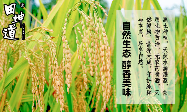 田坤道 深耕食用農(nóng)產(chǎn)品研發(fā)，于平凡中鑄就非凡財(cái)富