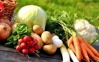 六旬夫妻的二畝菜園奇跡 從田間到餐桌的食用農(nóng)產(chǎn)品研發(fā)致富路