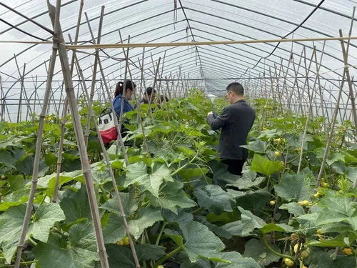 科技賦能，一碼溯源 食用農(nóng)產(chǎn)品的電子身份證時(shí)代